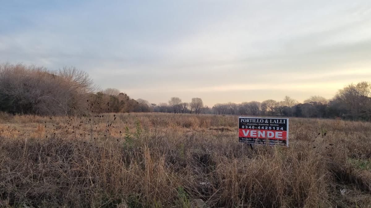 CAMPO EN VENTA  - Tulipanes al 500 Lambertucci Escobar