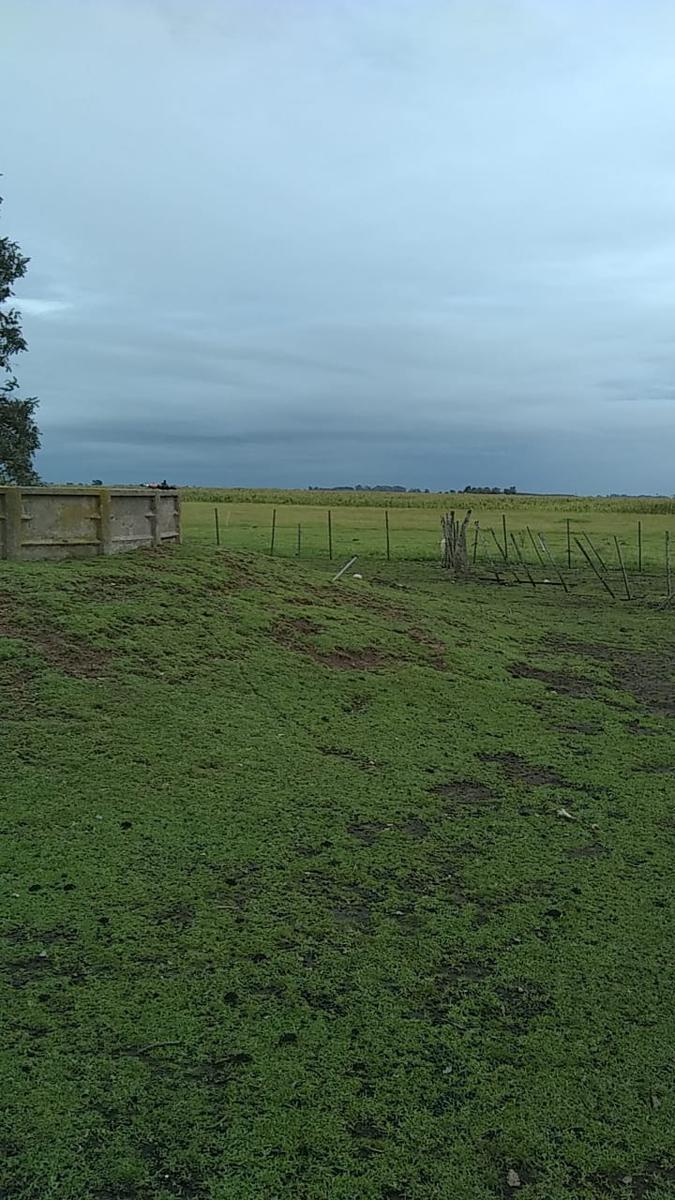 Campo en  Ayacucho