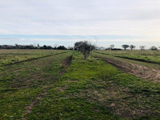 Terreno en Venta en General J. Madariaga