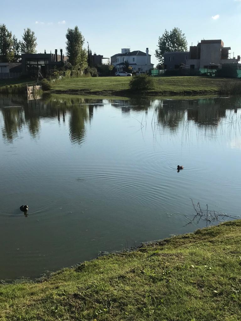 Terreno en  Barrio San Benito - Villanueva