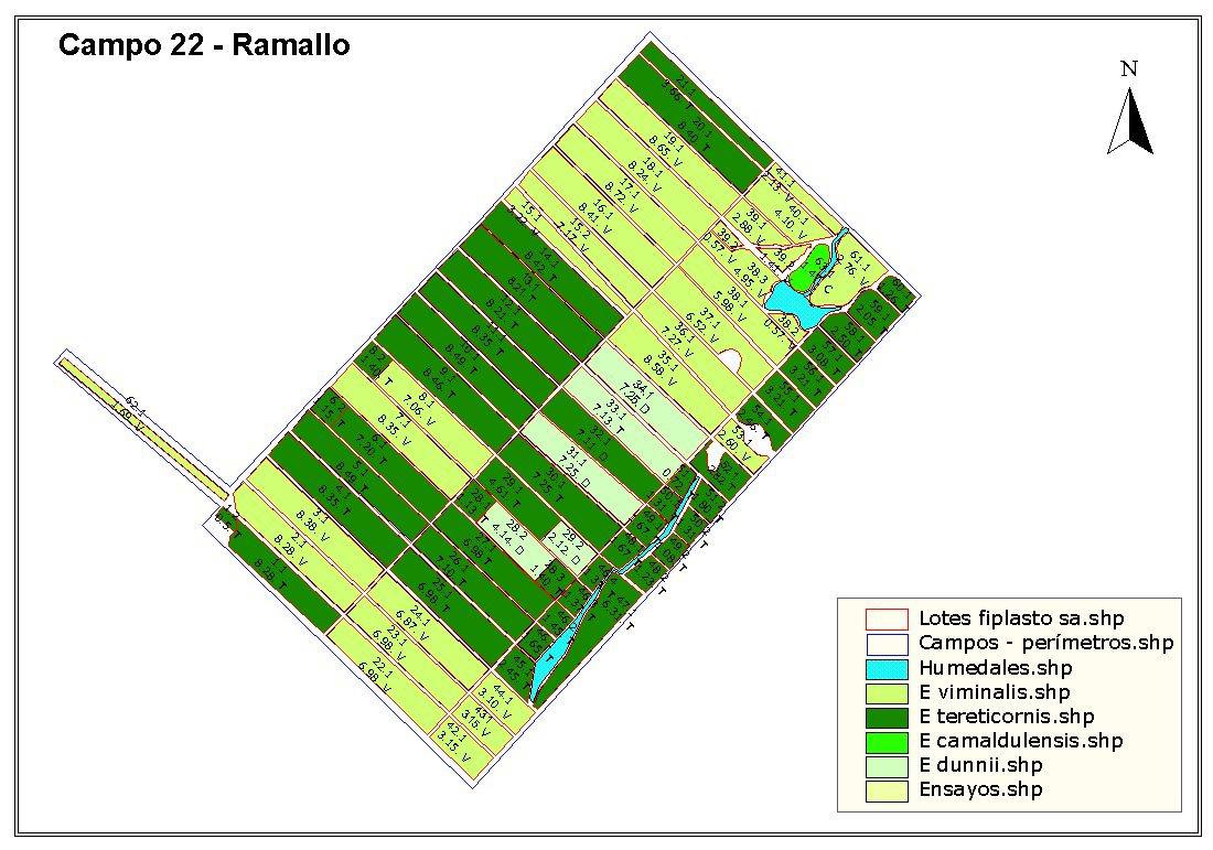 Campo - Ramallo