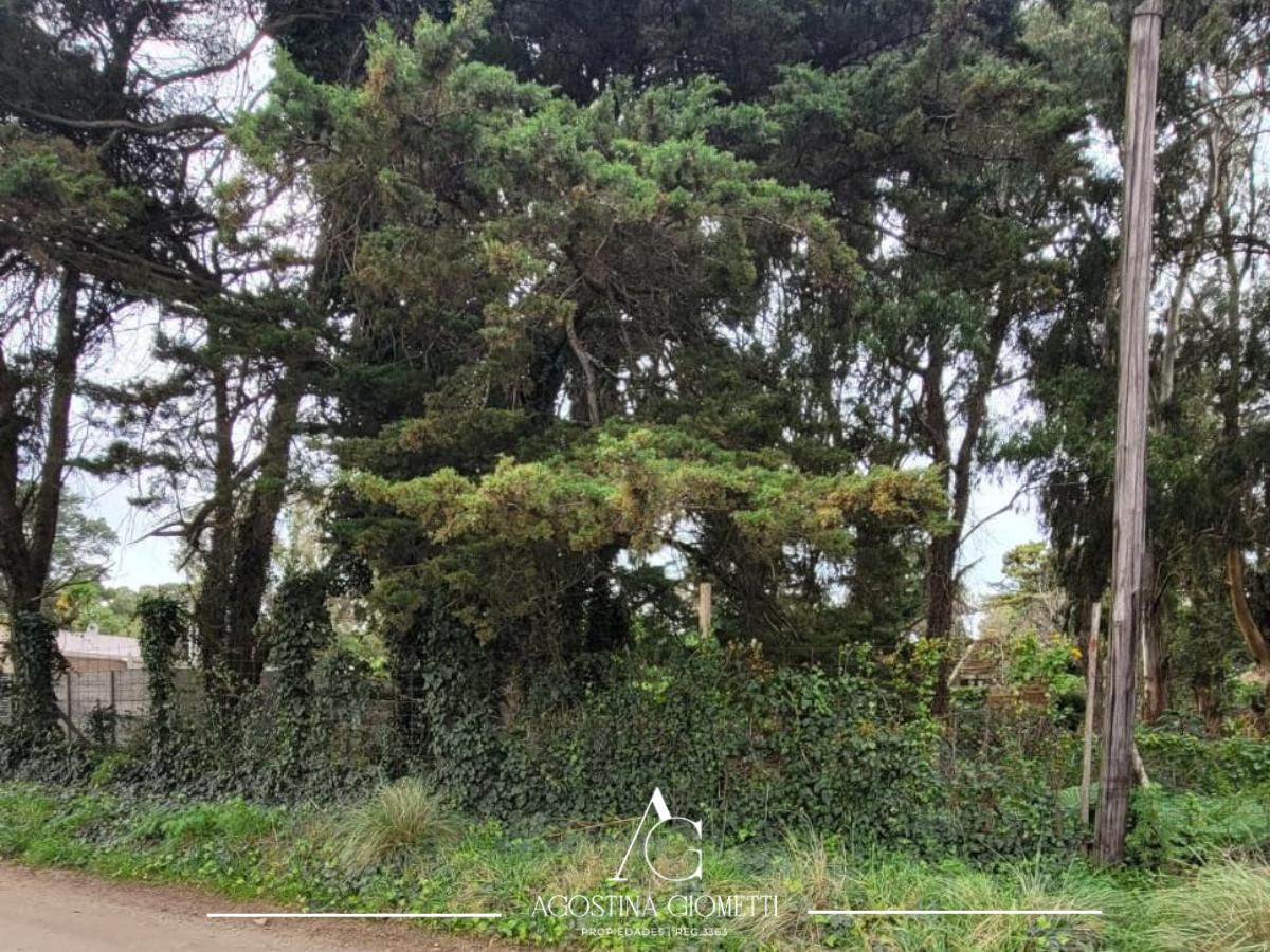 Terreno en Bosque Peralta Ramos