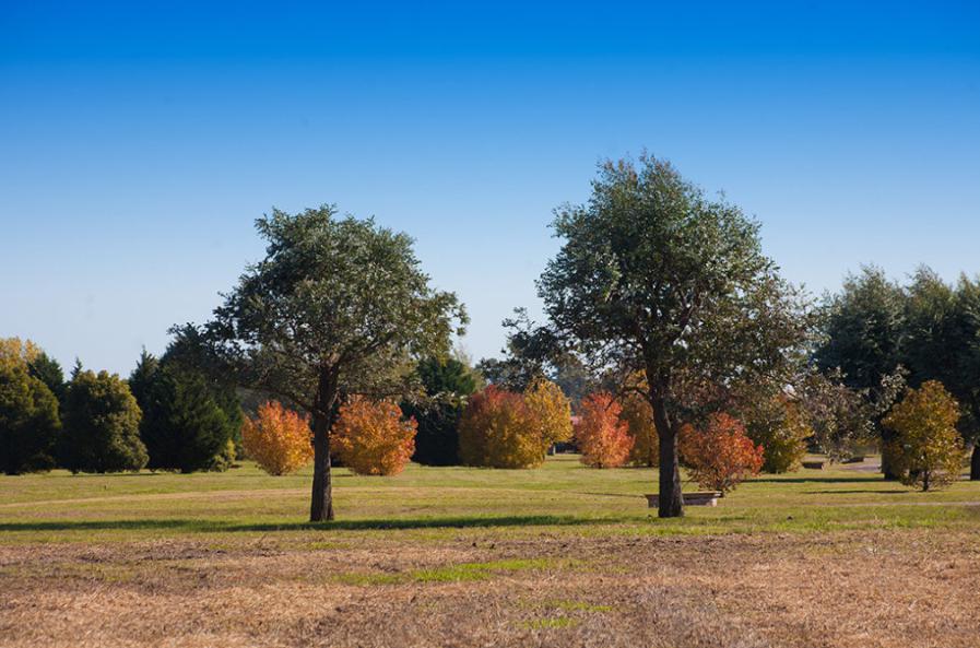 Lote en Chacras La Primavera Golf