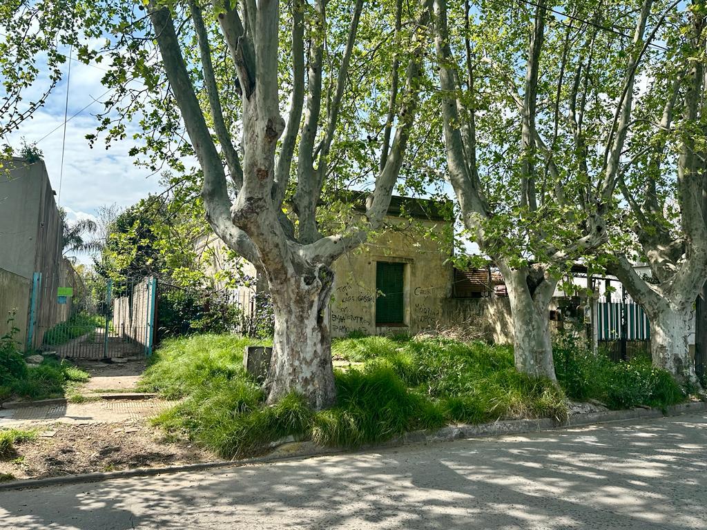 Terreno en  VENTA en muy linda zona