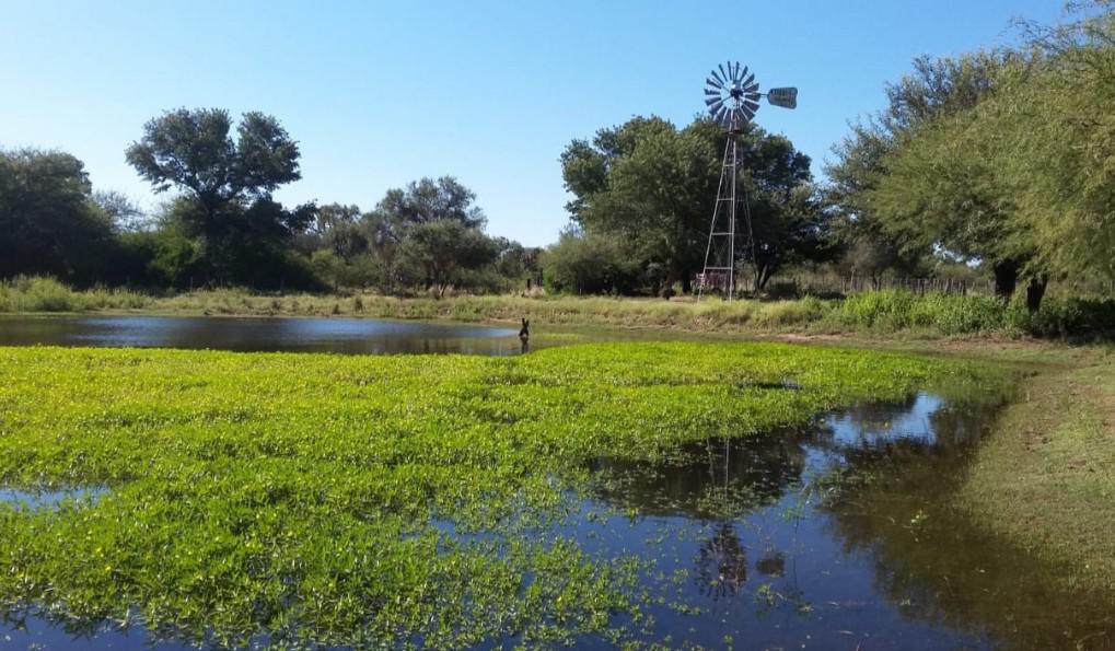 Campo - Loreto