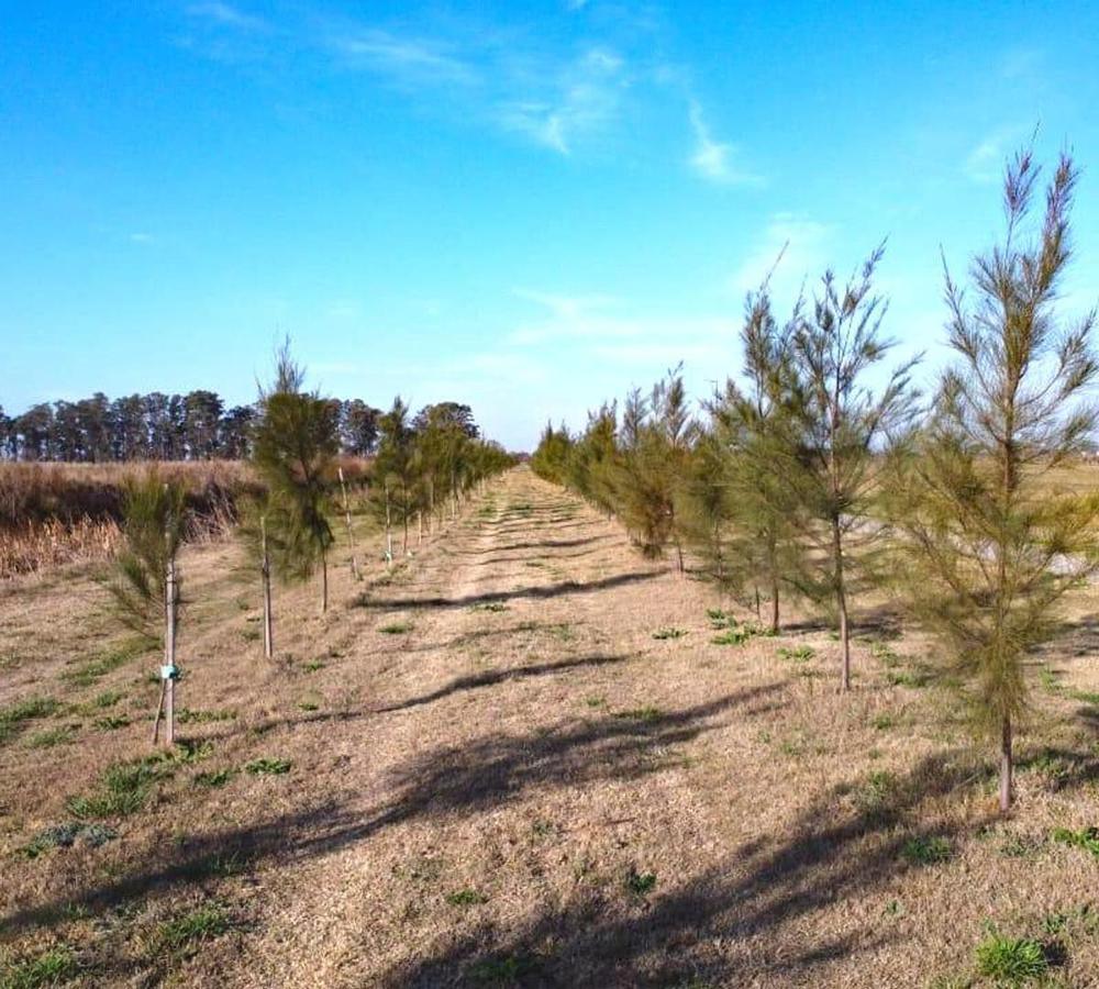 Terrenos en Barrio Jardín - Funes Paseo del Norte