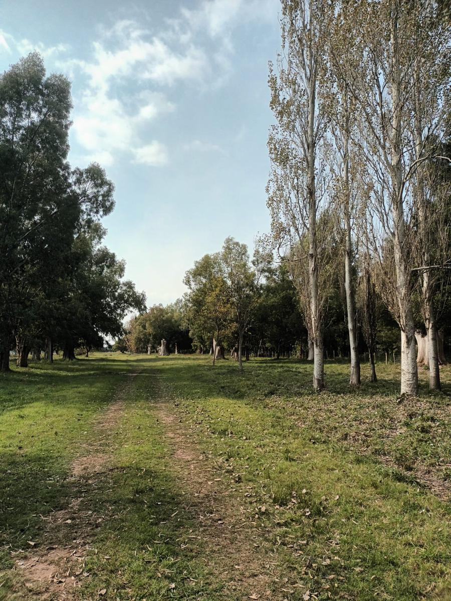 Terreno en Autopista Ezeiza-Cañuelas