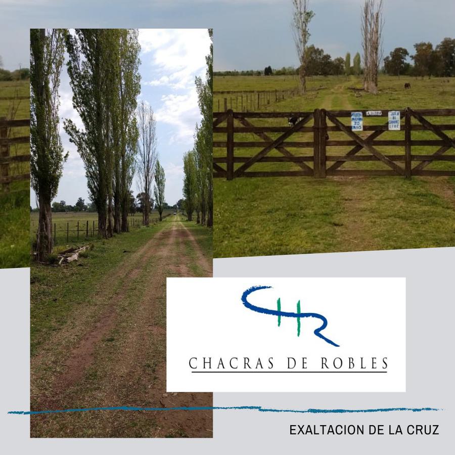 Oportunidad! Hermosa Chacra en Chacras de Robles, Exaltación de la Cruz