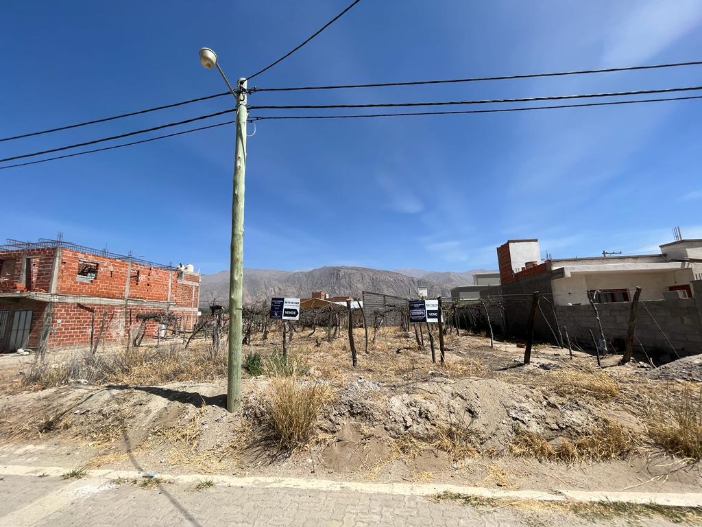 Terrenos en  venta loteo El Transito ,Cafayate