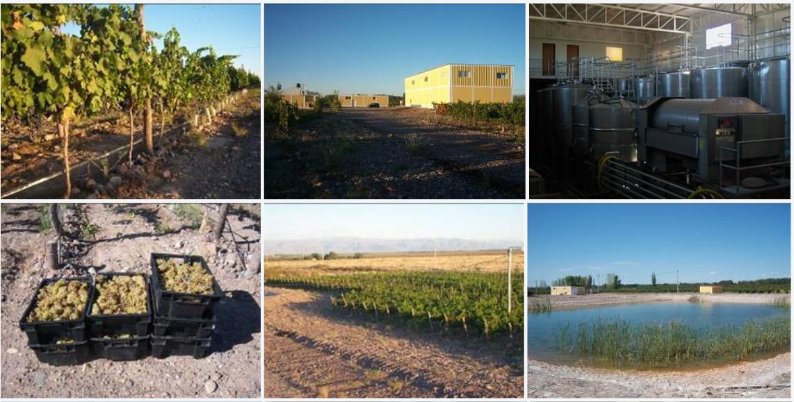 Bodega - Barrancas