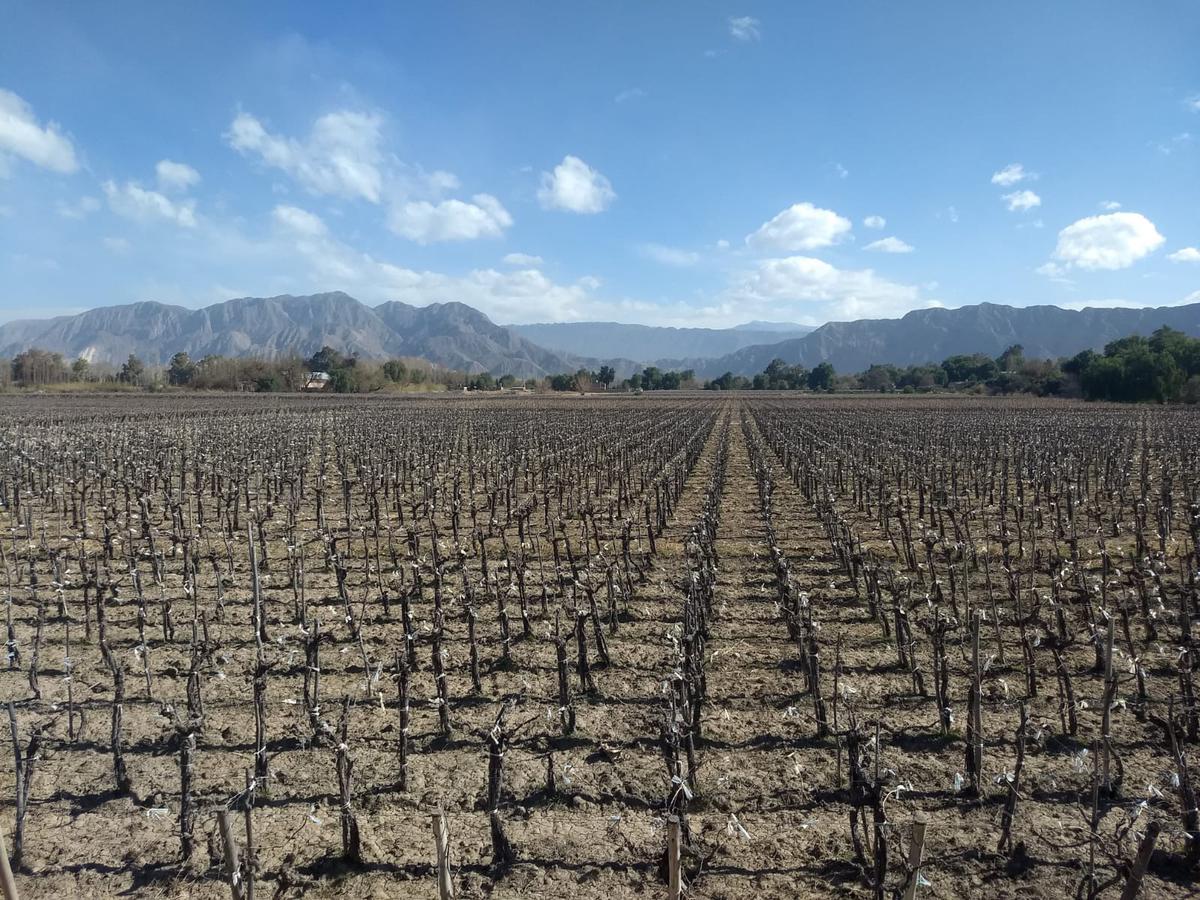 Terreno en Marquesado