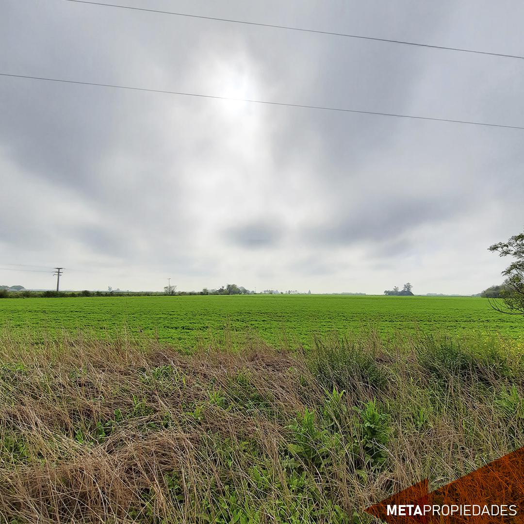 Campo 5,3 ha a 27 km de Rosario (Arroyo Seco Limite con Gral Lagos)