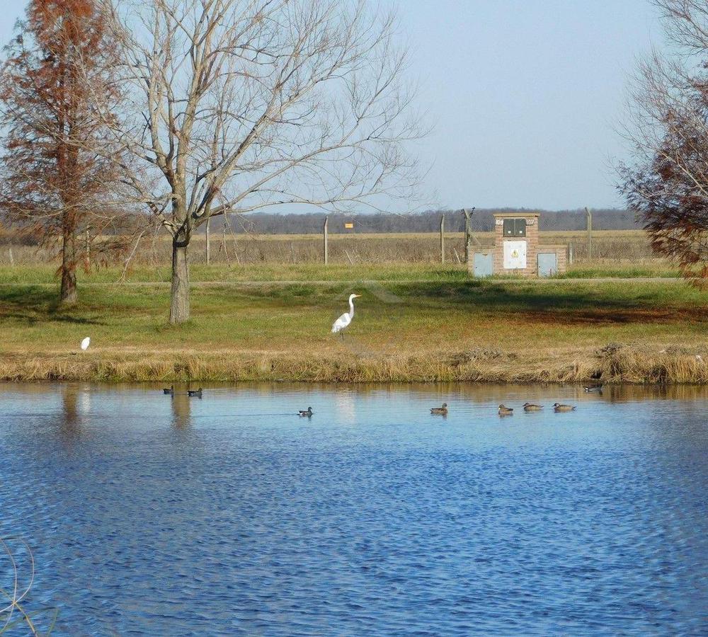 Venta. Lote. Las Calandrias. Alto Los Cardales