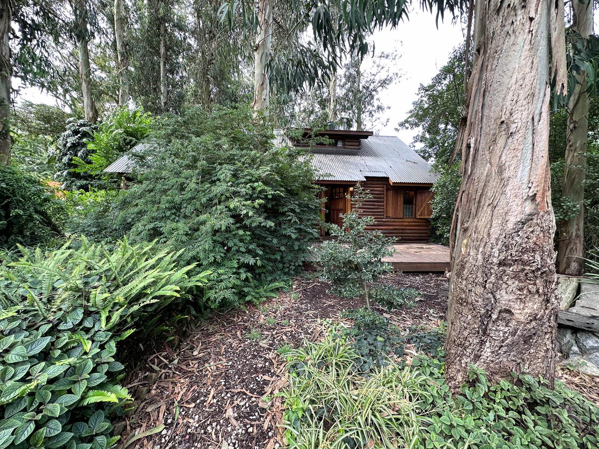 Bosque Peralta Ramos: Cabaña rodeada de vegetación.