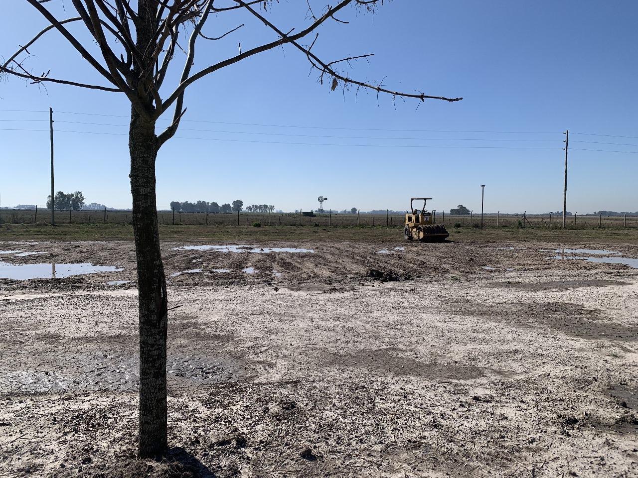 Terreno en Campos de la Enriqueta