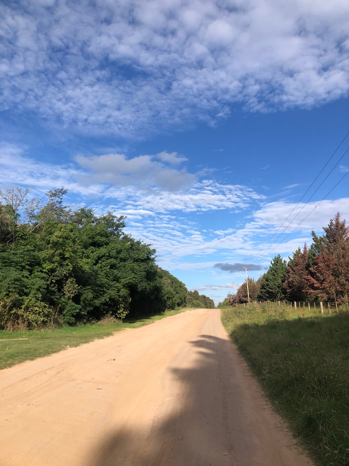 Campo en Baradero