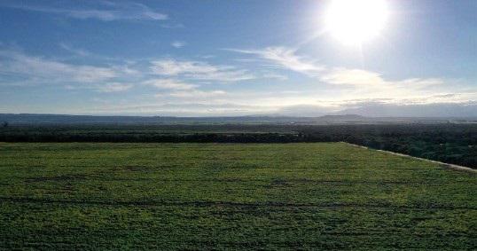 Campo de 838 has en El Acheral - San Pedro - Pcia. de Jujuy