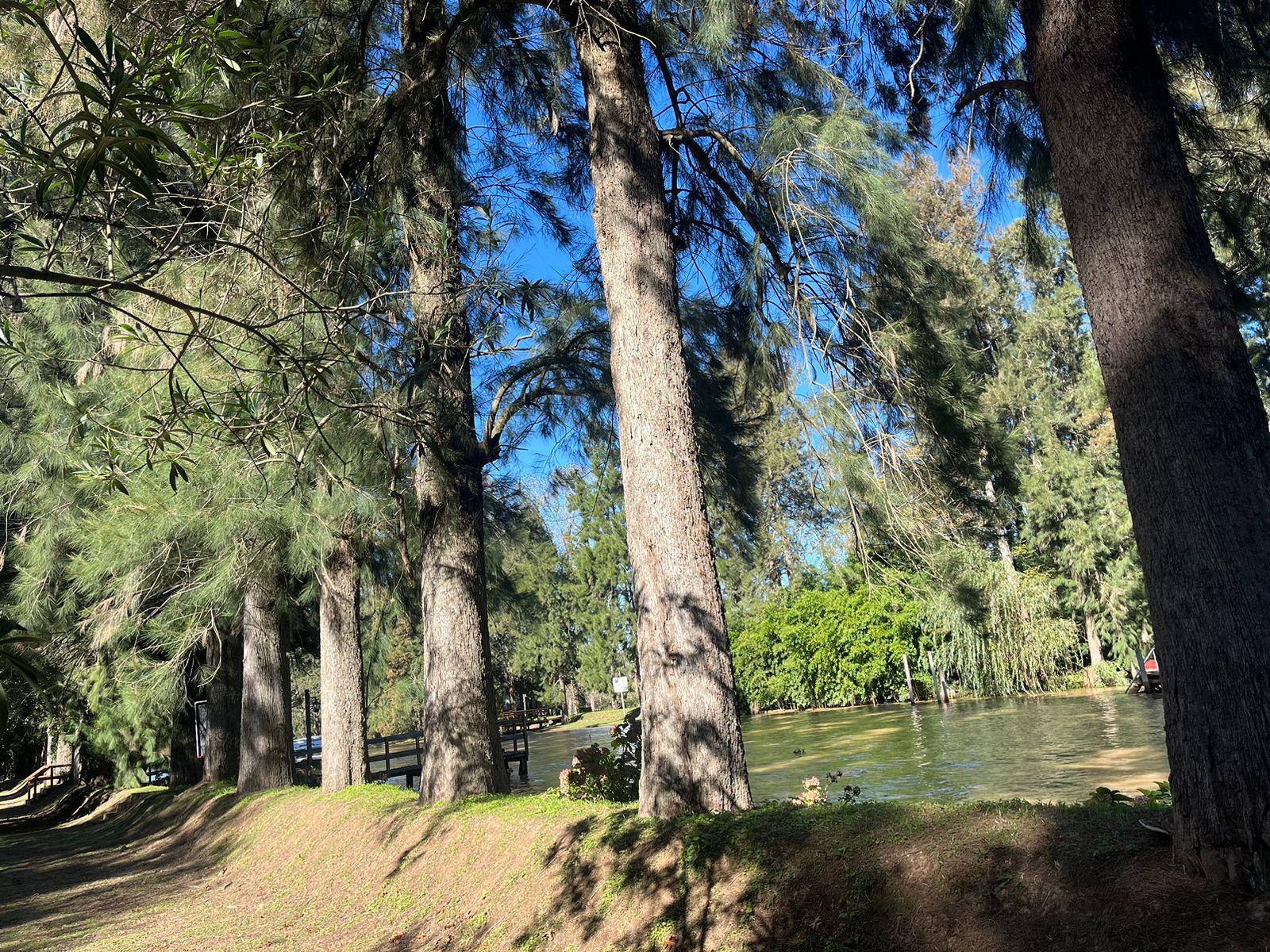 Casa Quinta en Venta, 5 Ambientes, en el Delta, Tigre