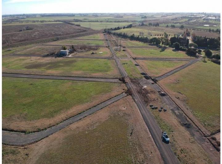 TERRENO EN VENTA EN PALO ALTO - PUEBLO ESTHER