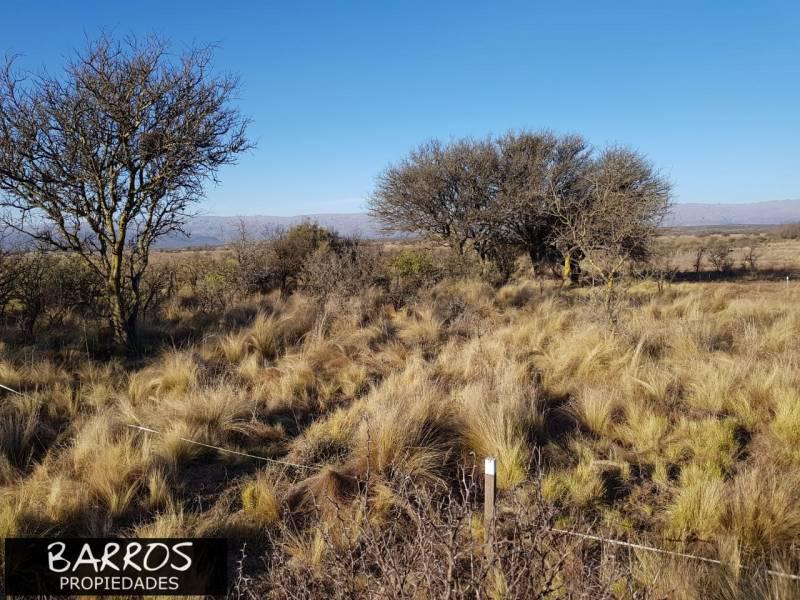 Terreno en Panaholma