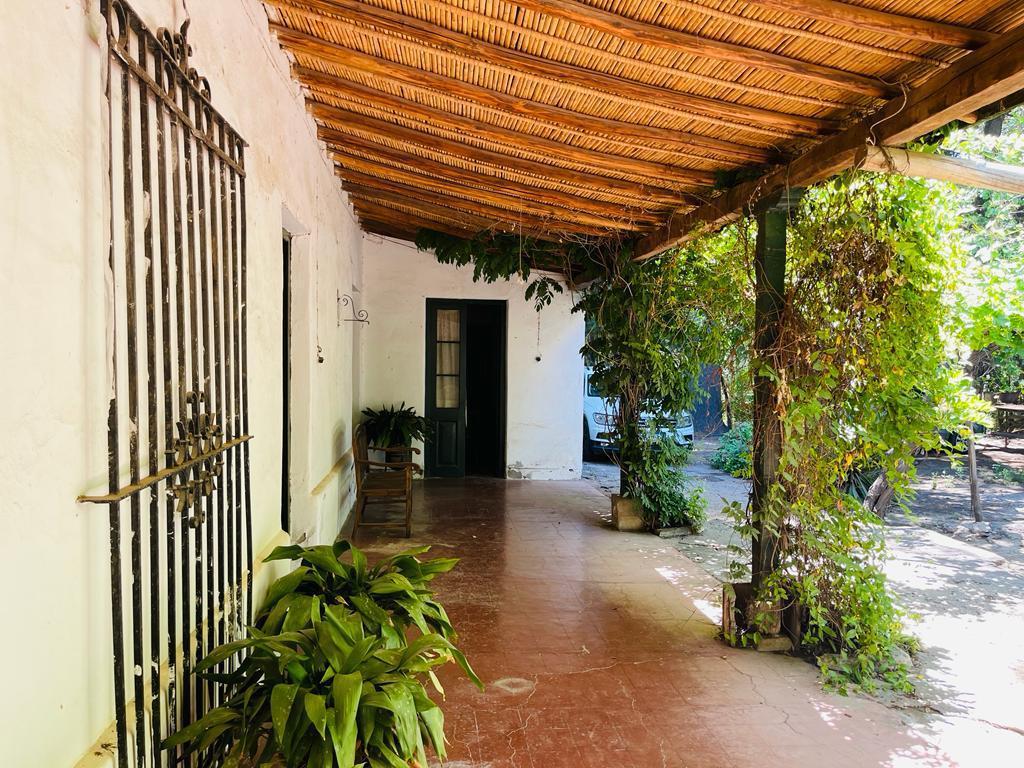 CASONA ANTIGÜA Y FINCA EN VENTA - CHILECITO - SAN CARLOS- MENDOZA