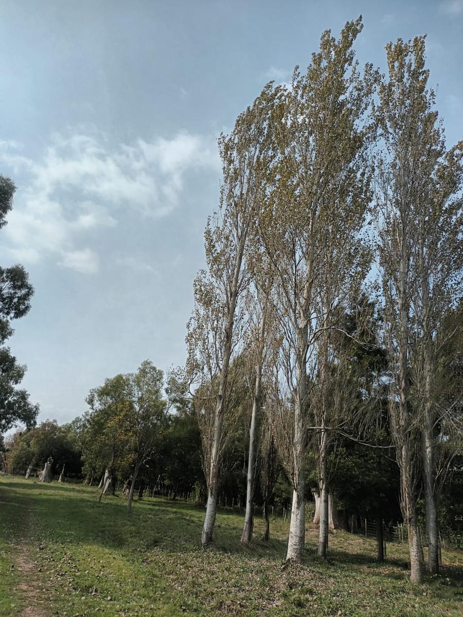 Terreno en Autopista Ezeiza-Cañuelas