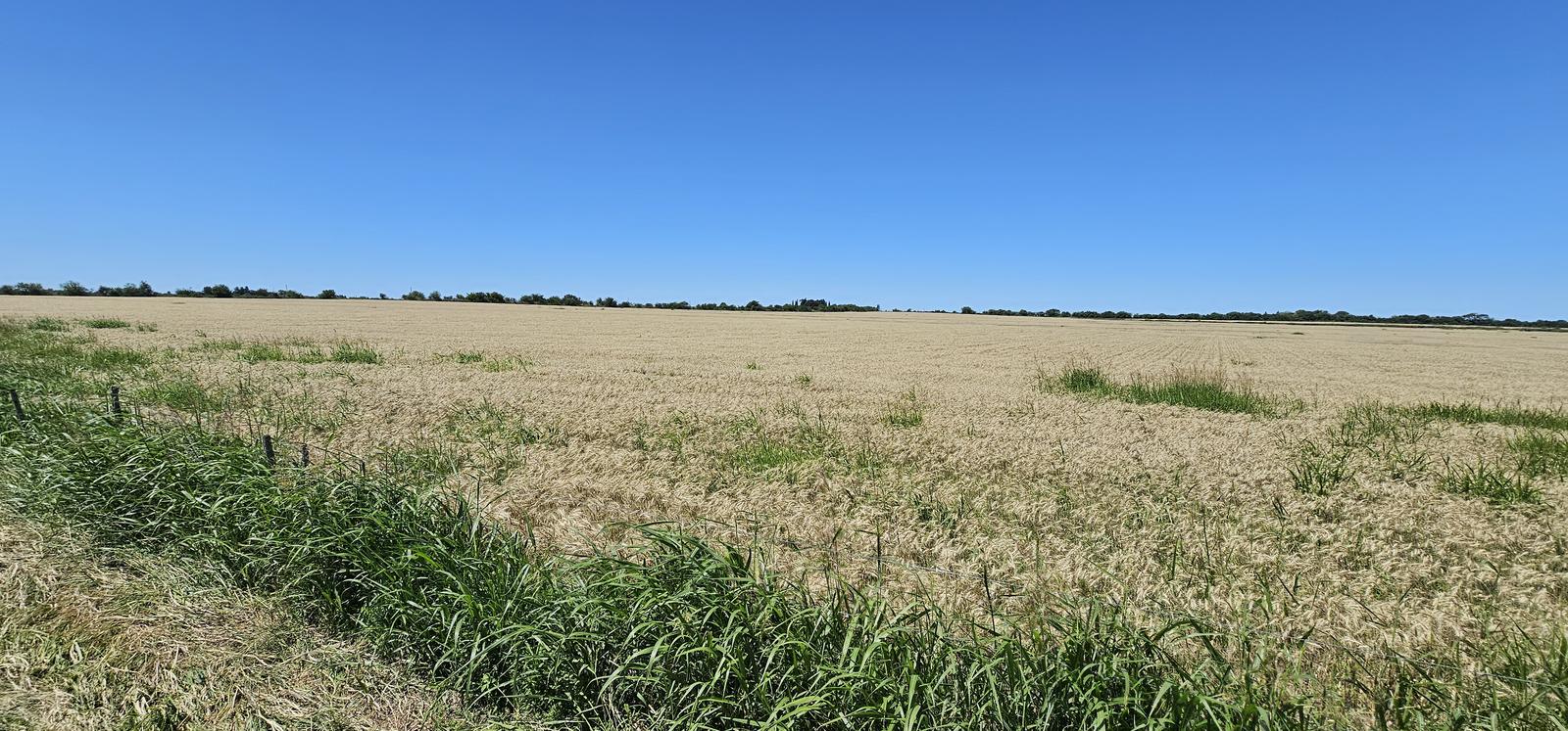 Campo Agrícola a 1km de Aldea Santa María