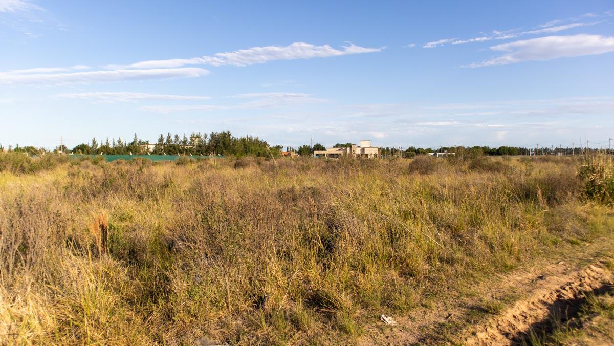 Dos lotes en barrio Del Carmen