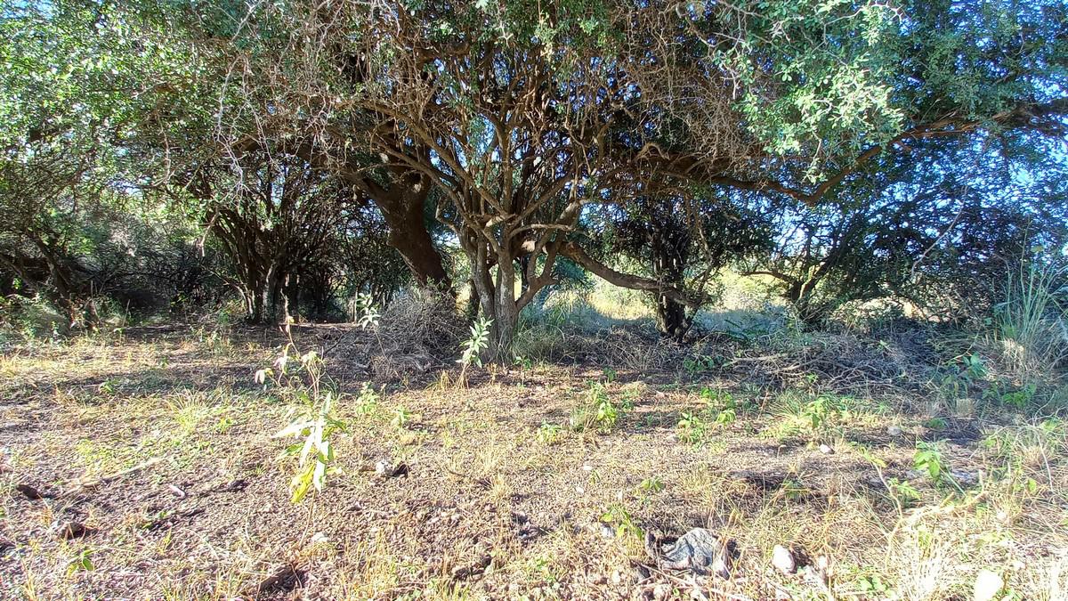 Permuta O Vende Dos Hectareas En Las Sierras De Cordoba