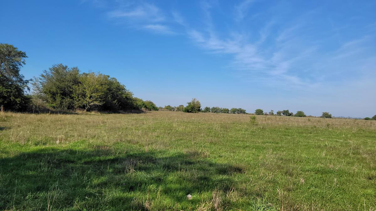 Campo en Gualeguaychú