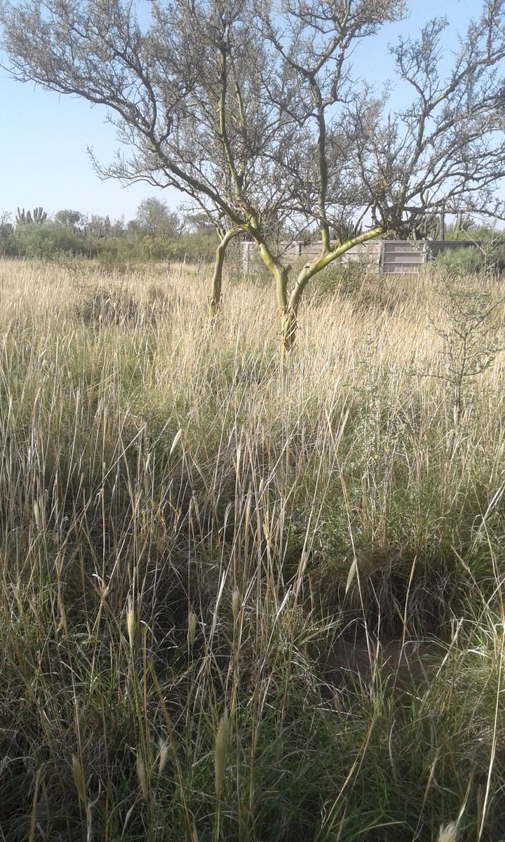 Campo de 5900 ha Ganaderas en Venta - La Rioja