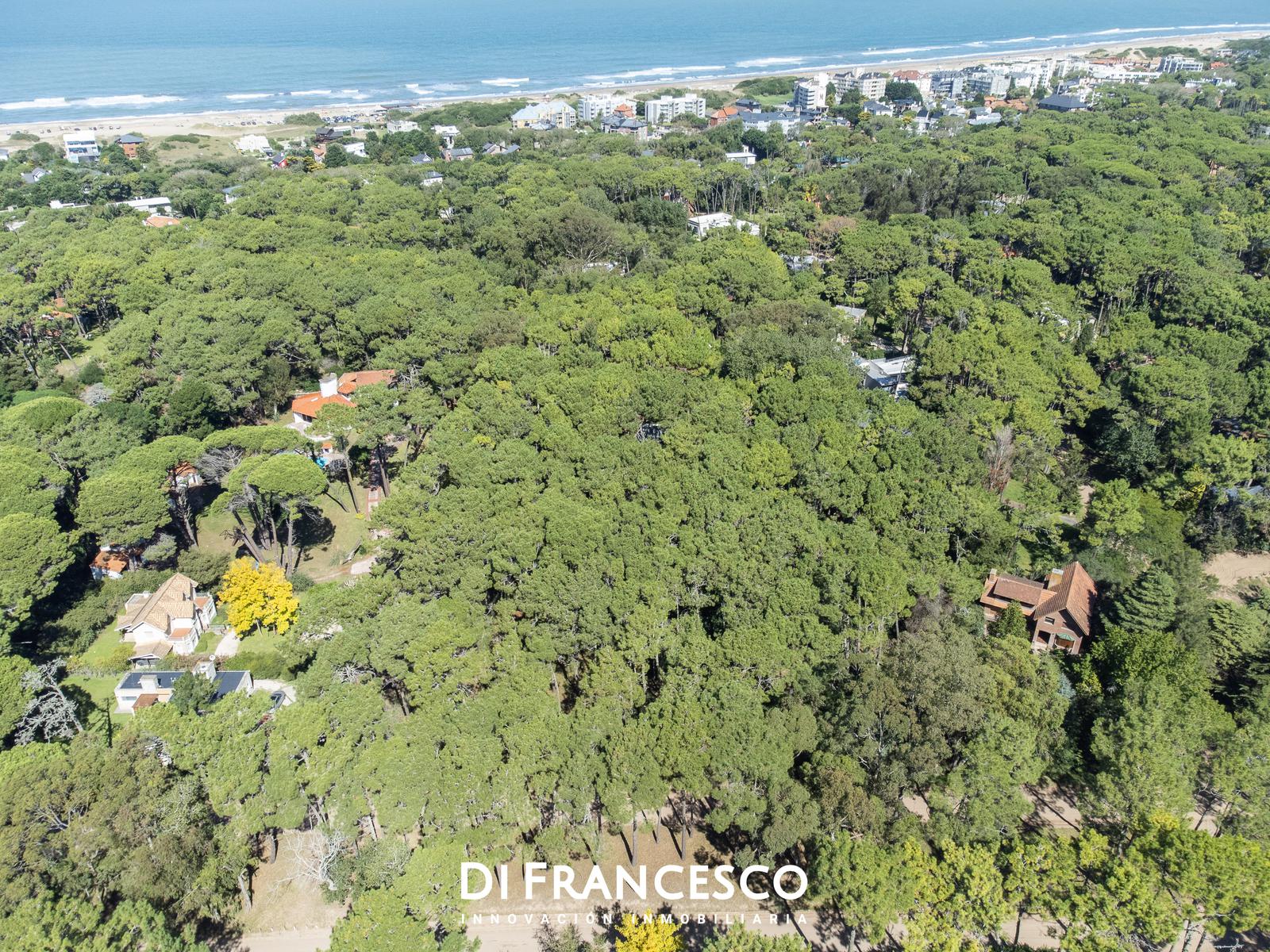 Venta  Lote  de 974 M2 en Carilo Divisadero y Lapacho