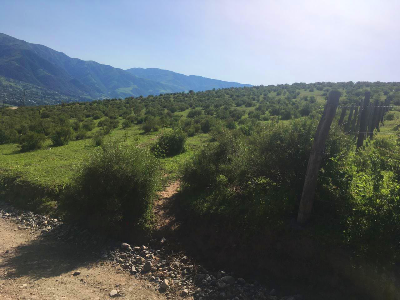 Terreno en venta en Cerro El Pelao - Tafi del Valle