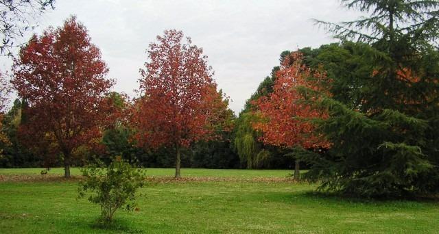 Terreno entre caminos - Residencial