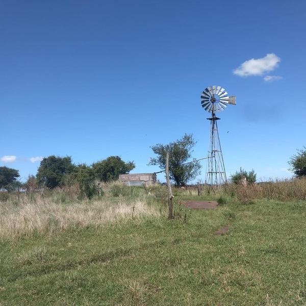 CAMPO EN VENTA JUANCHO, A 20 KM DE CARILO