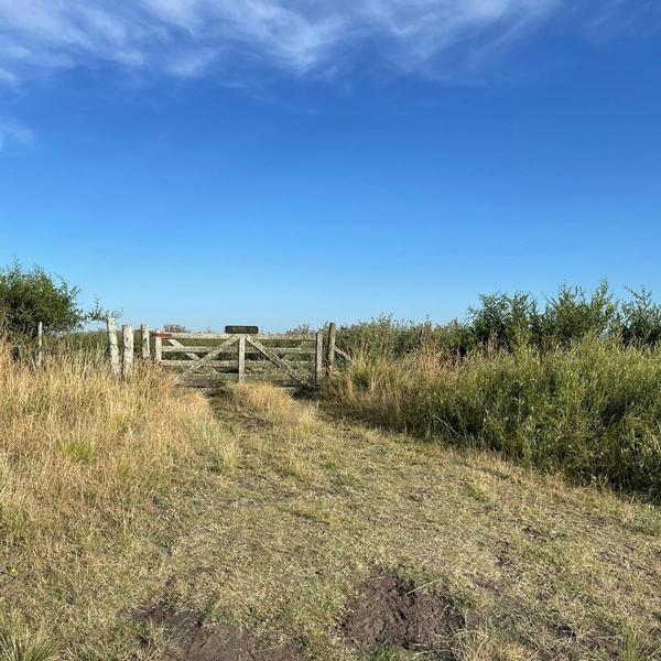 Campo zona Laguna Los Horcones