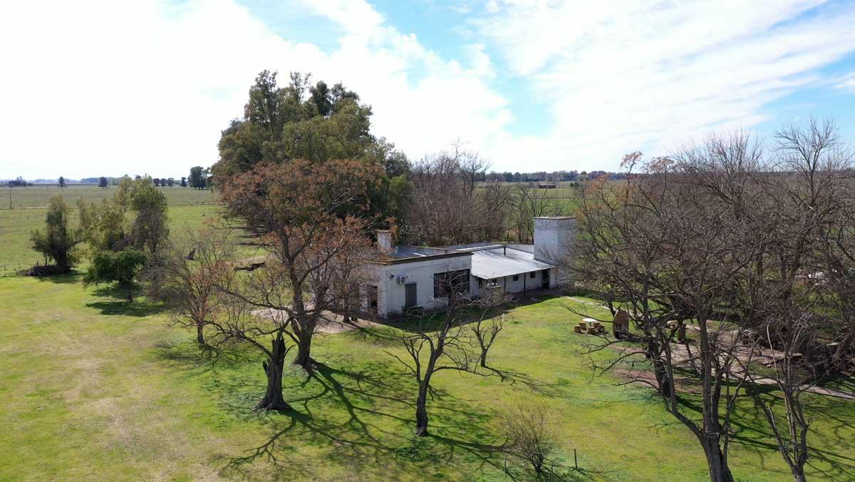 Campo de 77 hectáreas con mejoras en Abbott, San Miguel del Monte