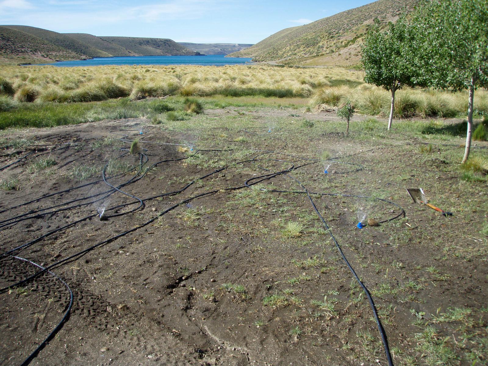 Campo en venta en Alicura