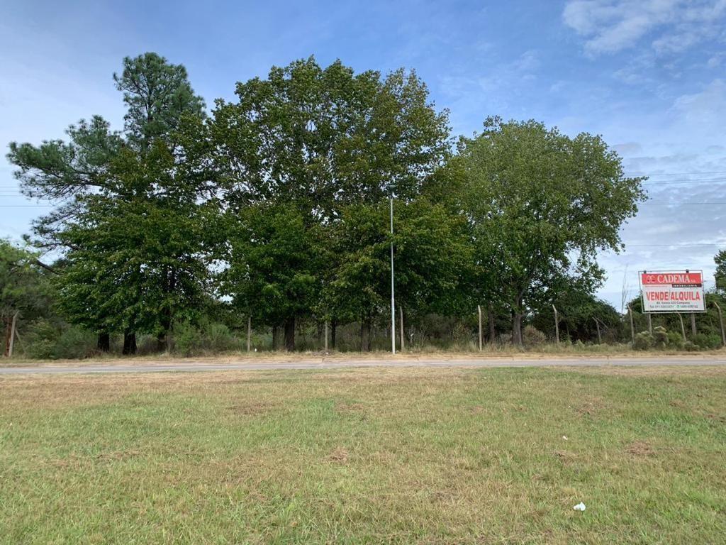 Imperdible terreno sobre panamericana a la  Venta o alquiler  en Campana, G.B.A. Zona Norte, Argenti