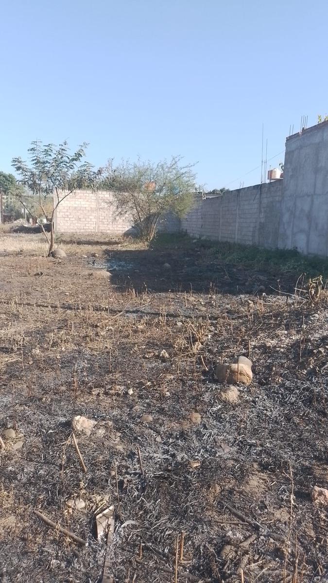 Terreno en El Carmen: Loteo San Luis