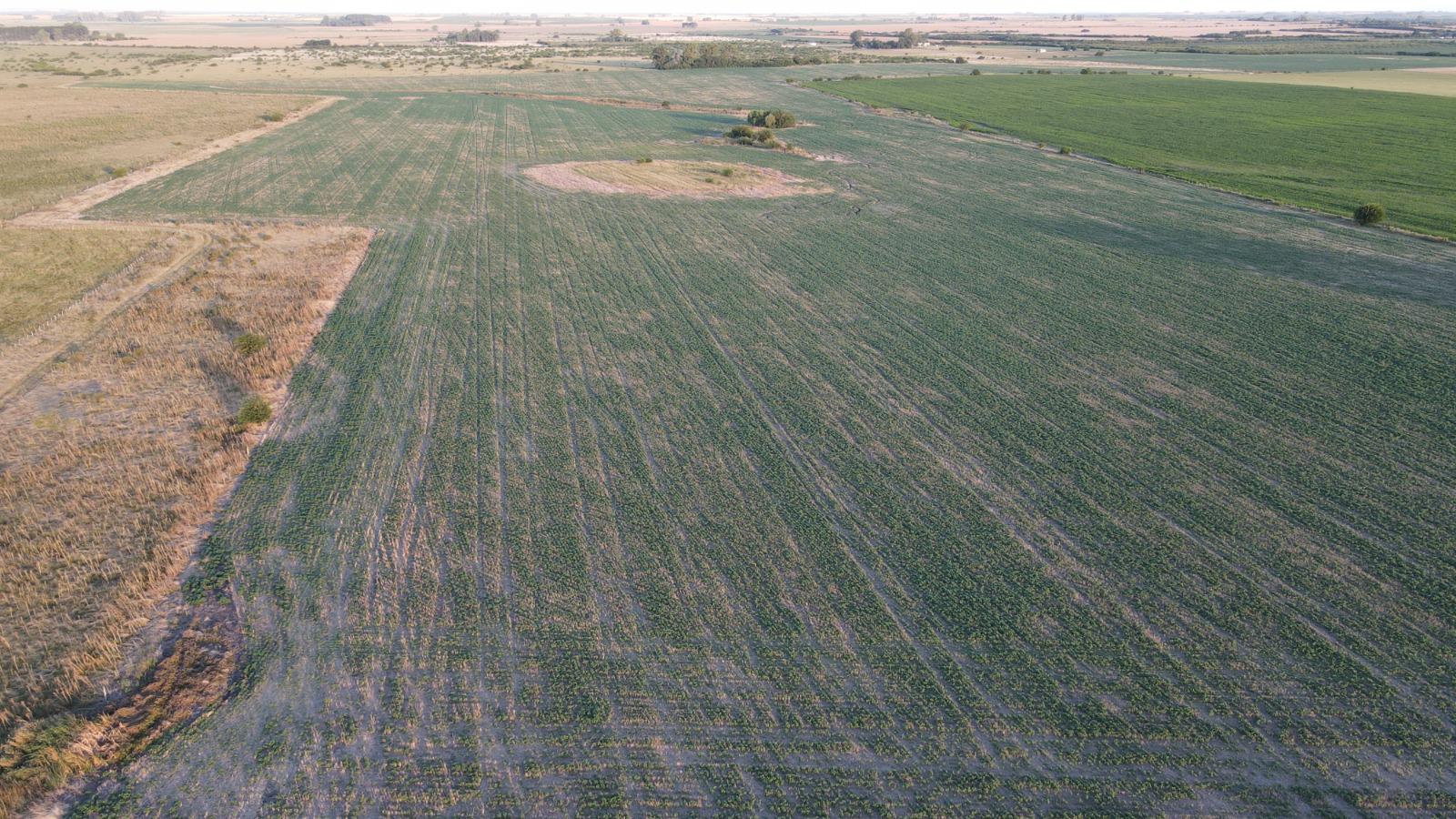 Campo en  Gualeguaychu, con frente en ruta 14