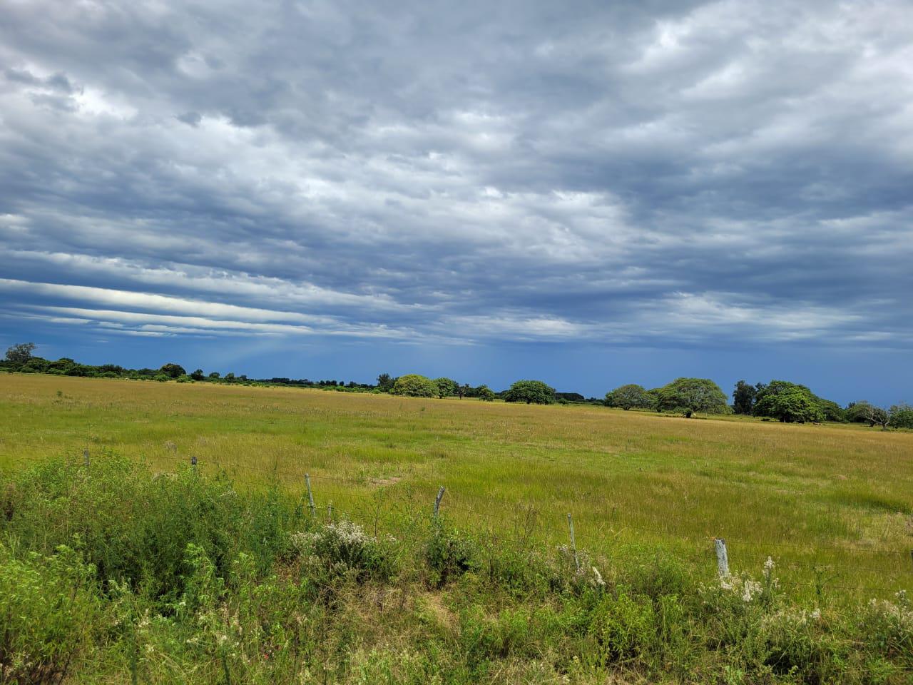 Campo en Helvecia