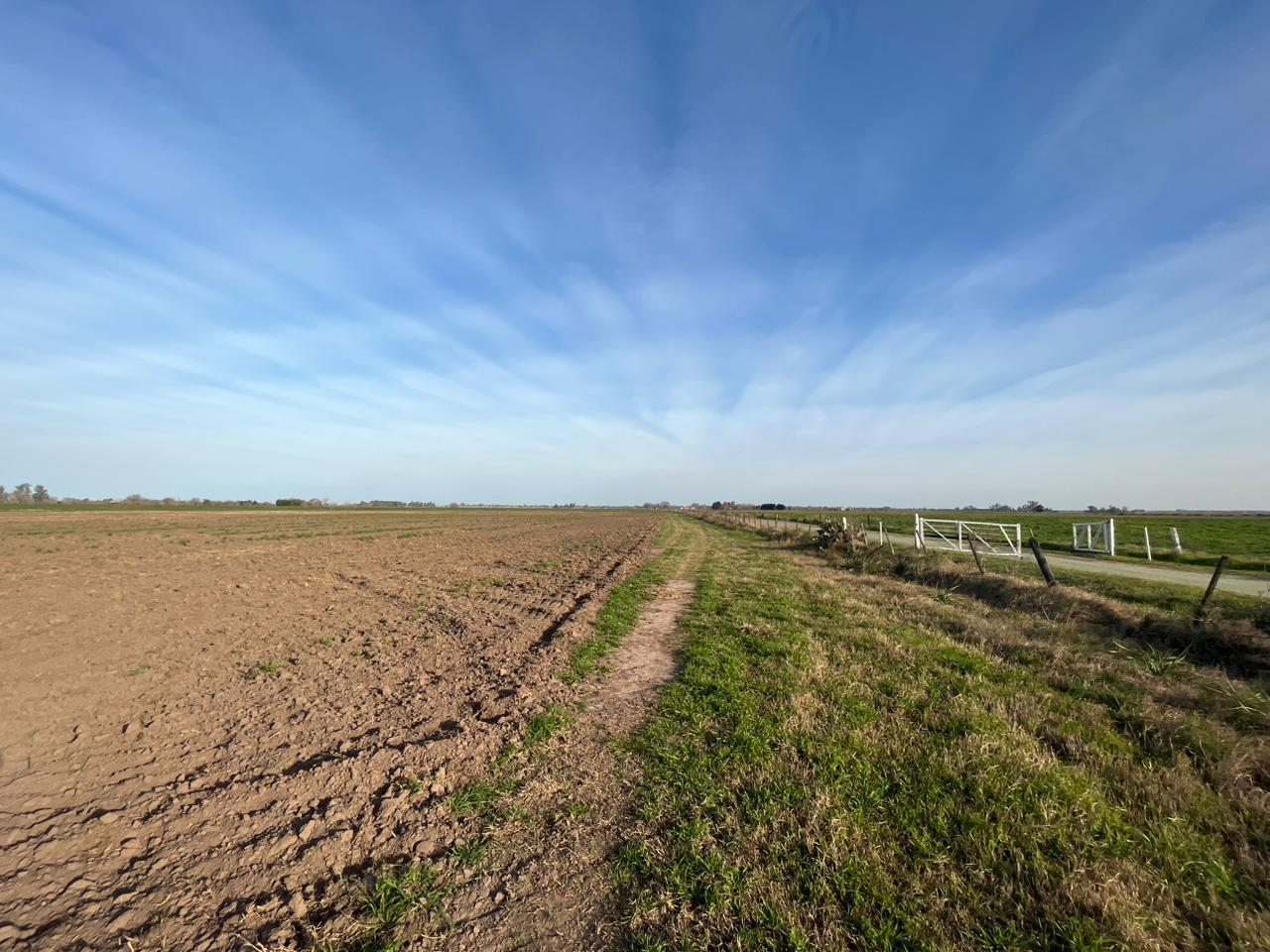 CAMPO PARA DESARROLLO URBANÍSTICO - IBARLUCEA