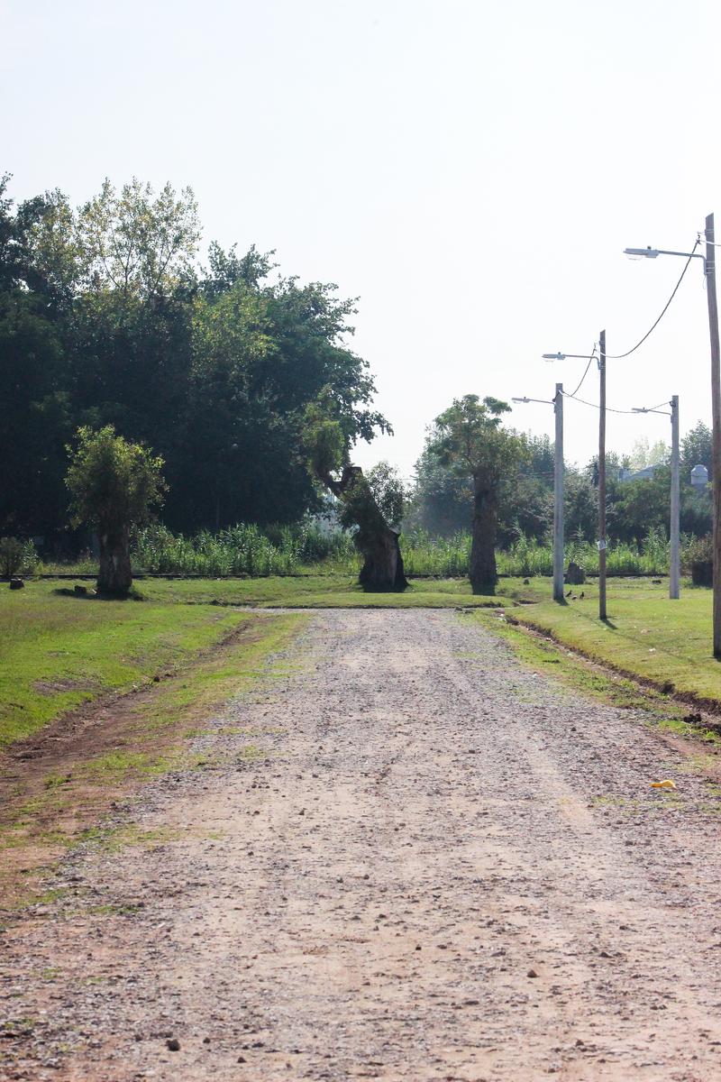 Terreno en Venta en Barrio Parque Astolfi II, Pilar