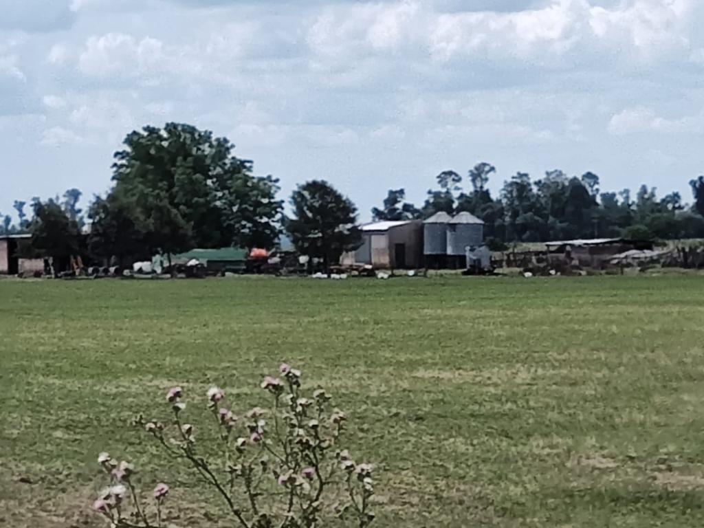 Campo en Alvarez De Toledo