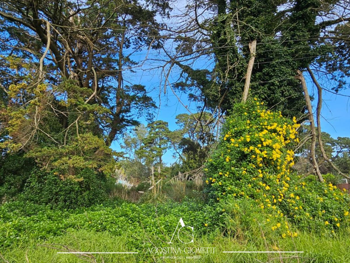 Terreno en  Barrio  Los Acantilados