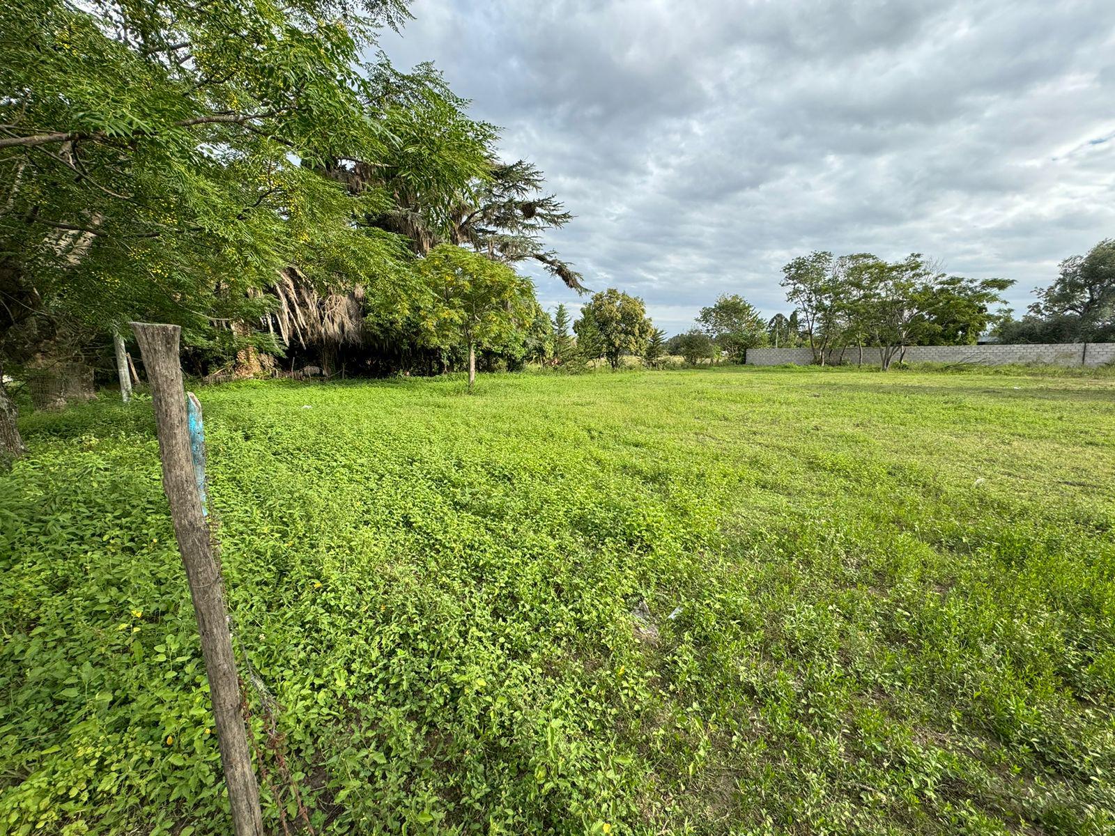 Terrenos en Venta en Gobernador Castro