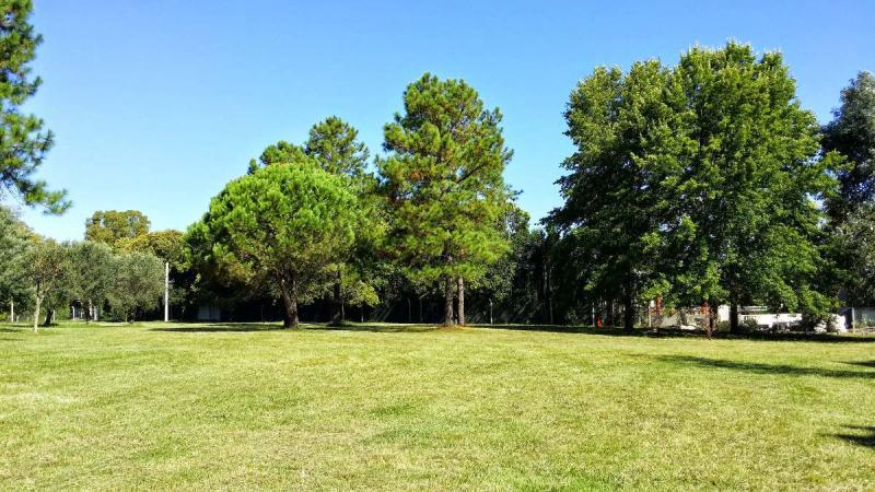 Terreno en Av. Arana - Villa Elisa entre caminos