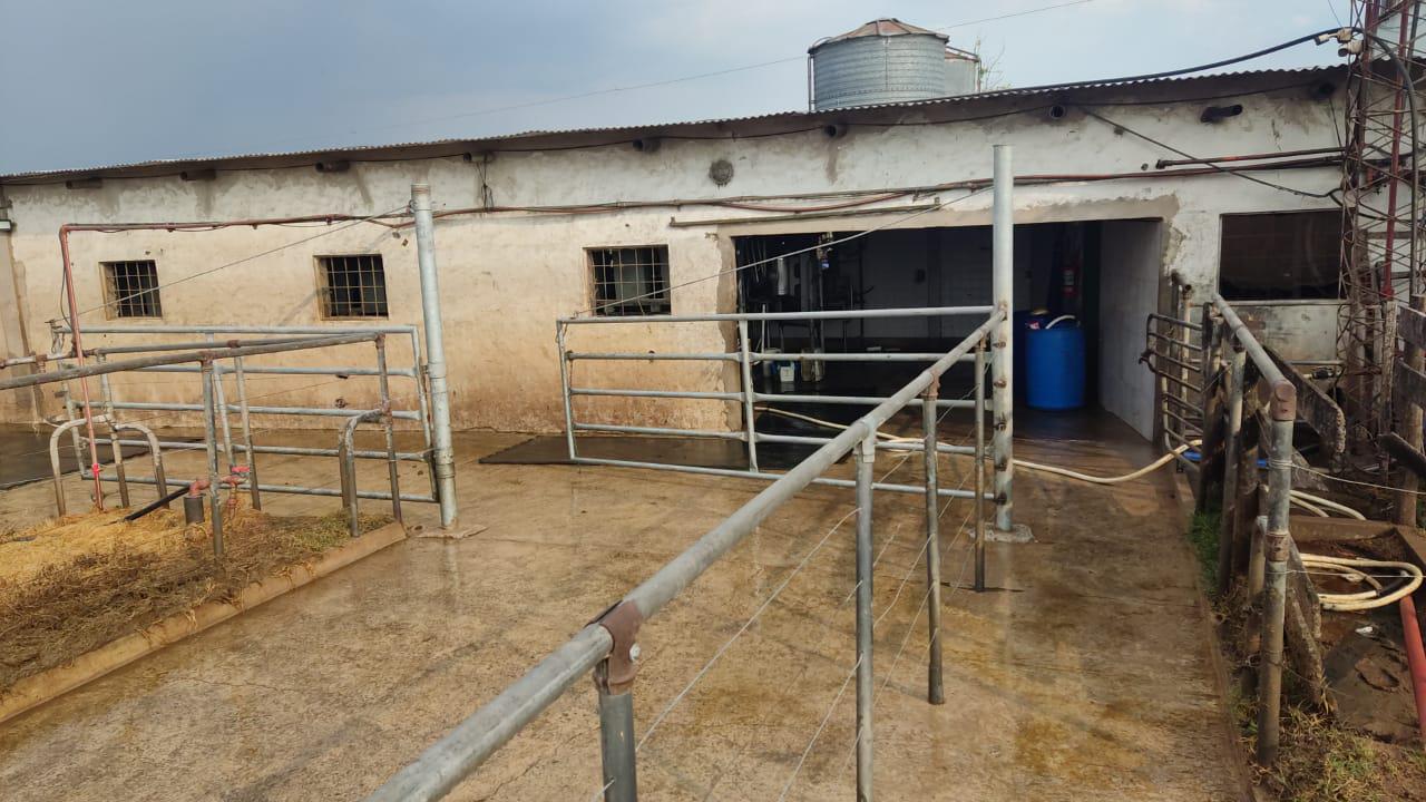 Venta Tambo Fábrica De Productos Lácteos En Navarro Campo Hacienda Vacas Ordeñe Maquinaria Agricola