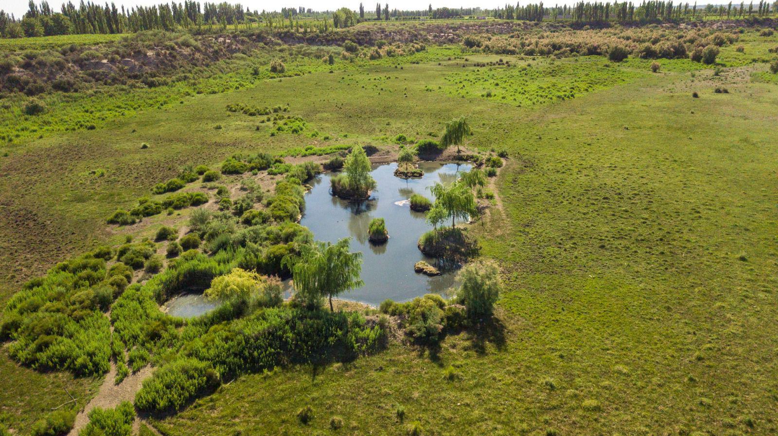 Finca 24 ha en Venta en San Rafael - Mendoza